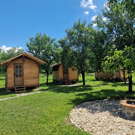 Hotel Cristel Casuta Fara Ganduri à Mesentea Extérieur photo